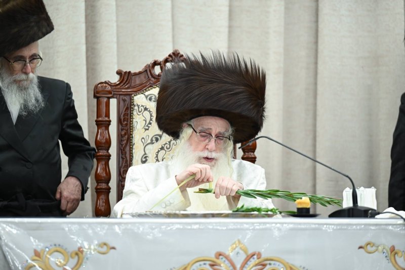 משה גולדשטיין