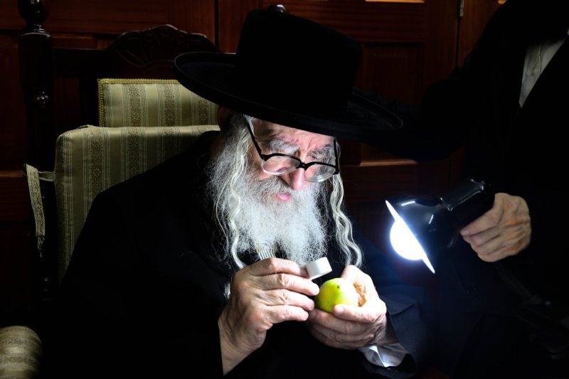 שוקי לרר