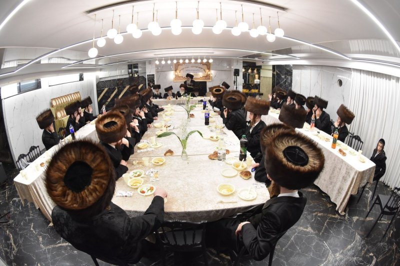 יהודה פרקוביץ