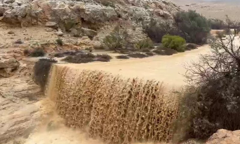 הנחלים שוצפים: שיטפון מרהיב בנחל שקמה ונחל ממשית | צפו
