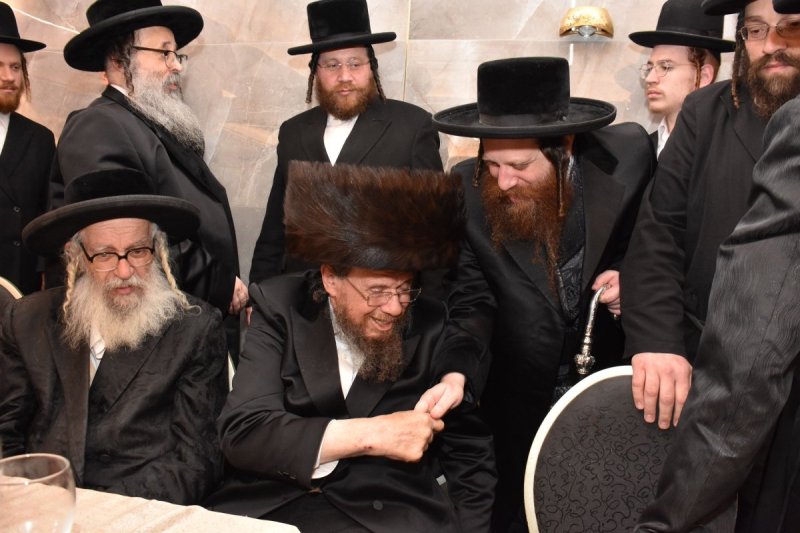 יהודה פרקוביץ
