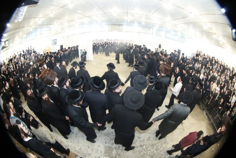 שלומי טריכטר