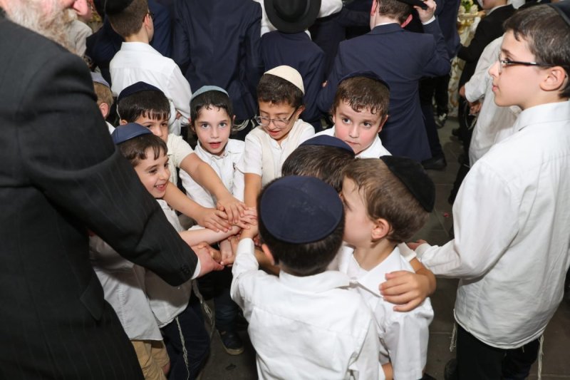 מאיר זלזניק, עזרא טרבלסי, ים לביא