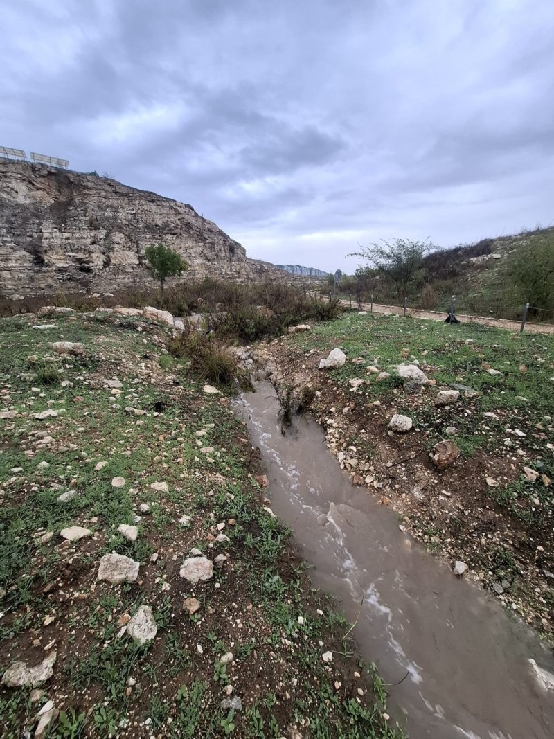דניאל דה צ'זרה רשות הטבע והגנים
