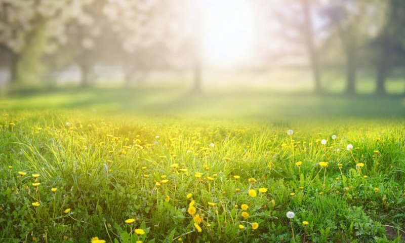 החורף מסרב ללכת: בצפון יוסיף לרדת גשם, תחול ירידה קלה בטמפרטורות