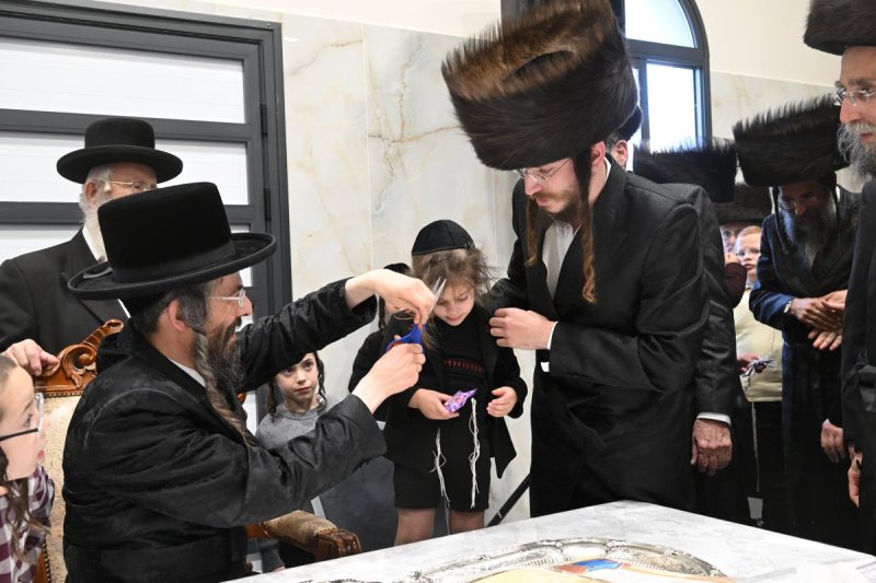 שימי פ.