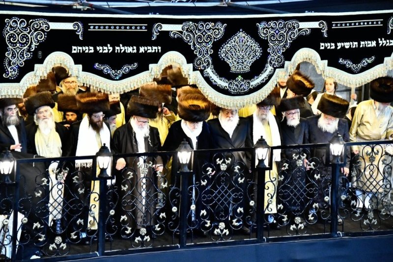שוקי לרר