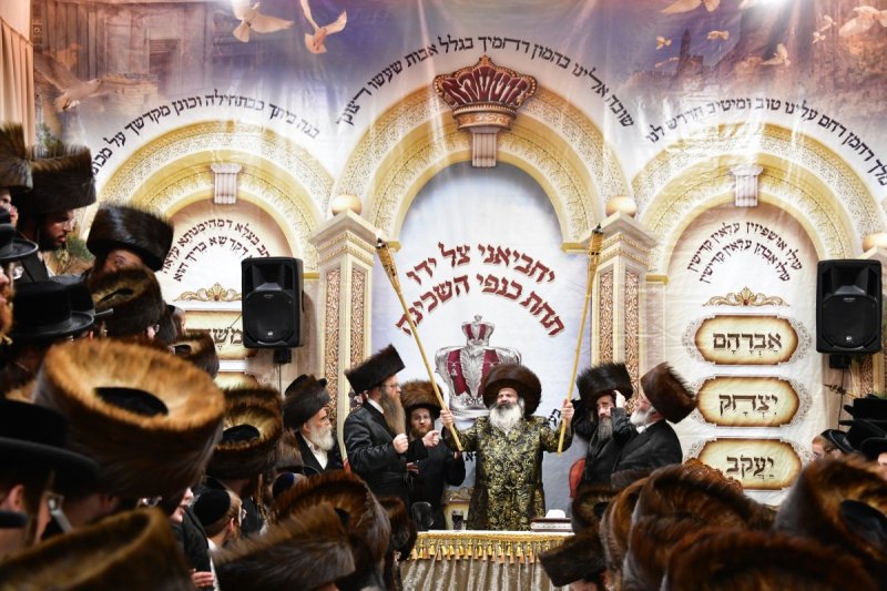 יוסי לוי