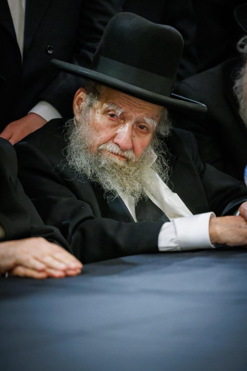 דניאל נפוסי ומאיר זלזניק