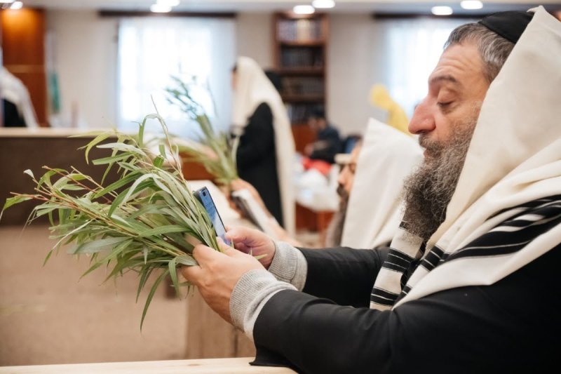 לוי נאזרוב