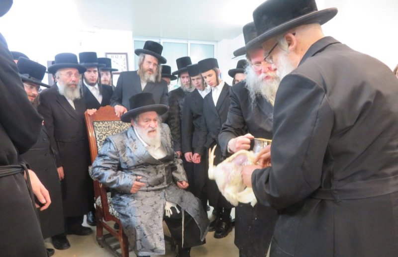 באדיבות המצלם