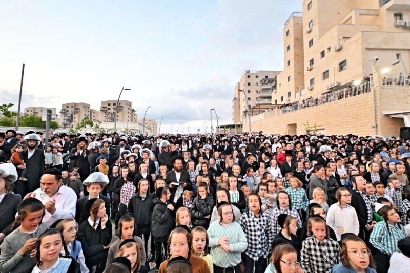 יהושע פרוכטר