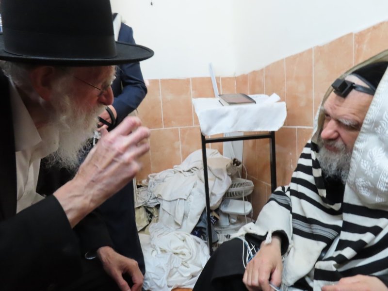 שימי פ.