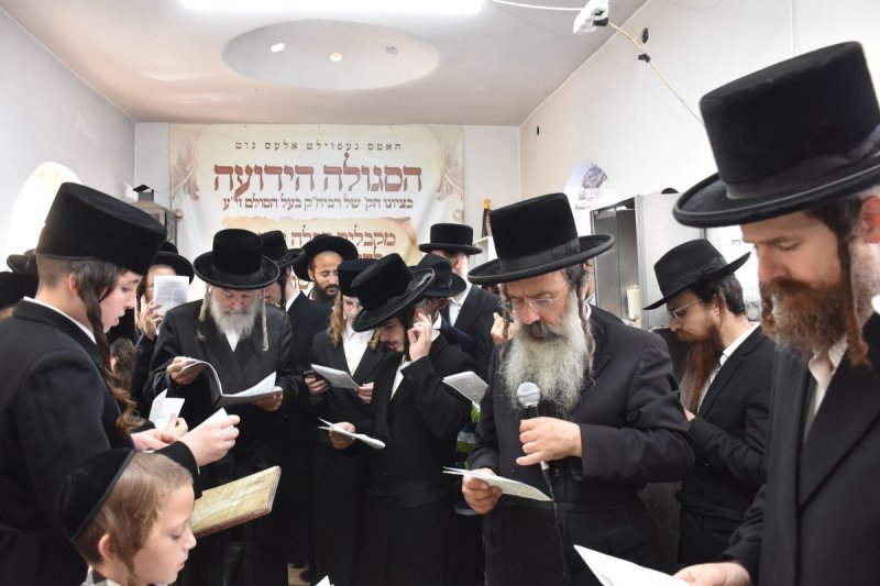 יהודה פרקוביץ