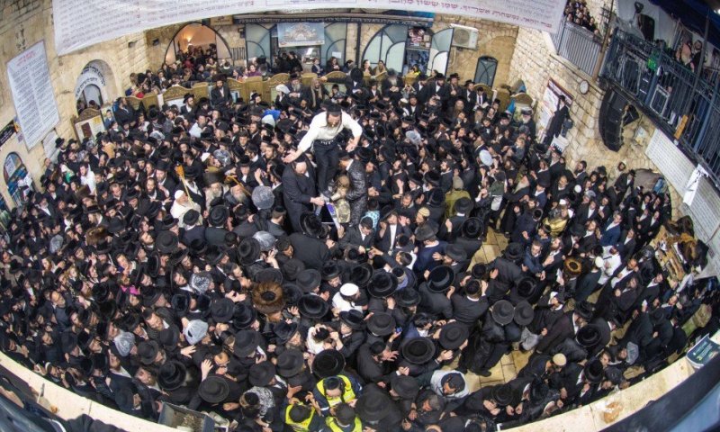 ביערות ובגשם זלעפות: 113 תמונות מהצלם ארי קופרשטוק מהר מירון