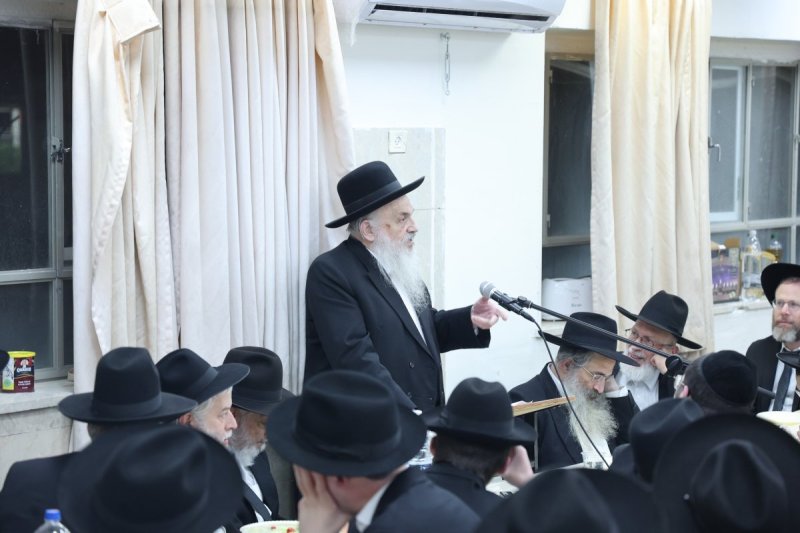 שלומי טריכטר