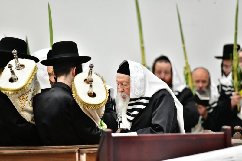 שוקי לרר