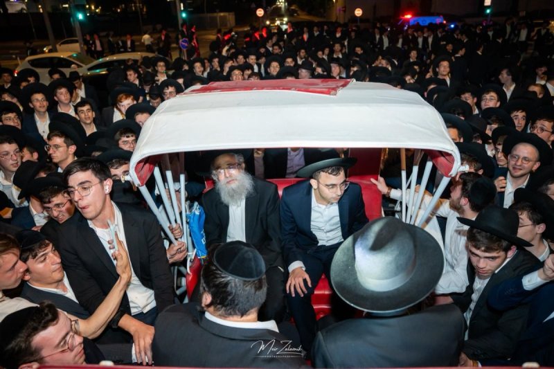 מאיר זלזניק