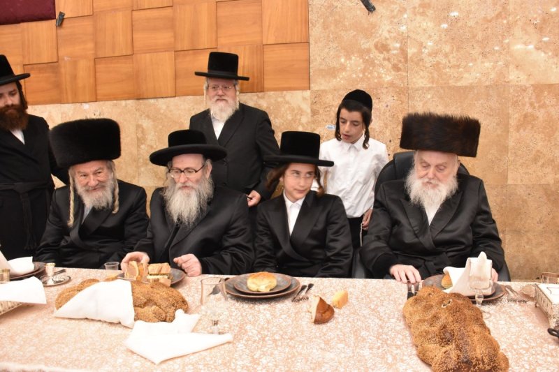 יהודה פרקוביץ