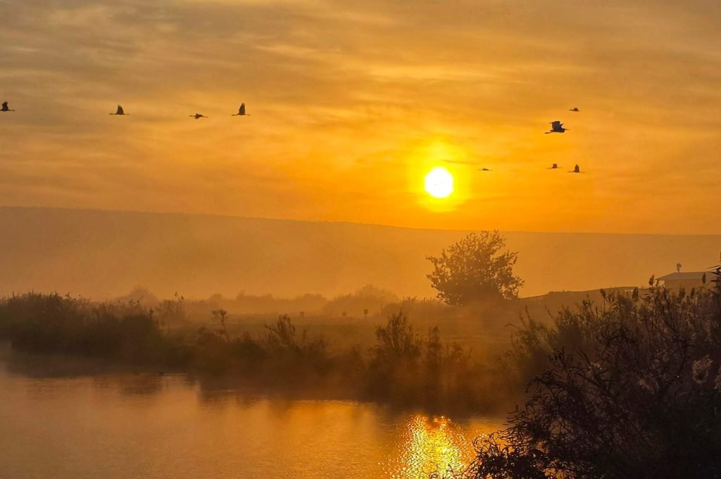 עינבר שלומית רובין, קק"ל