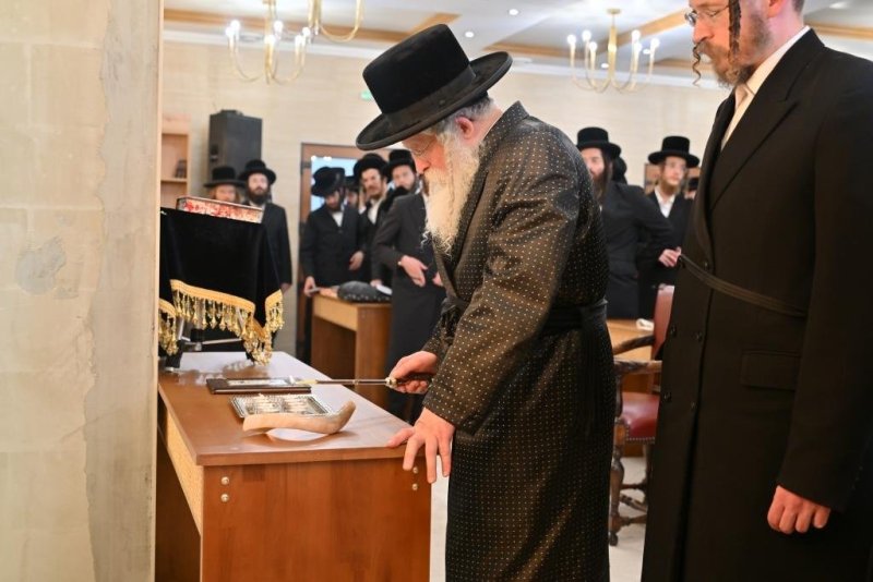 יהושע פרוכטר