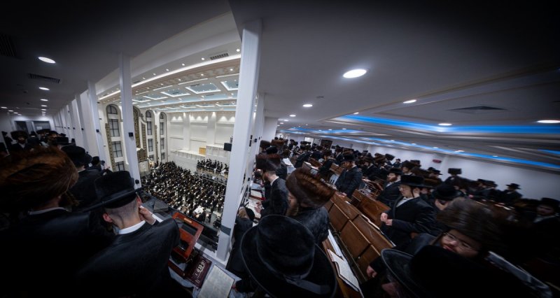 האחים לאנטשעווסקי ואושי וויינגארטן