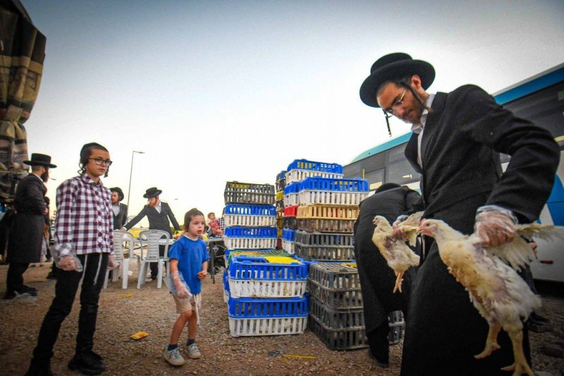 ארי קופרשטוק