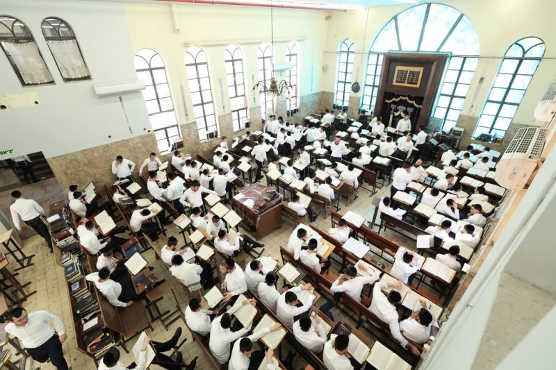 באדיבות המצלם