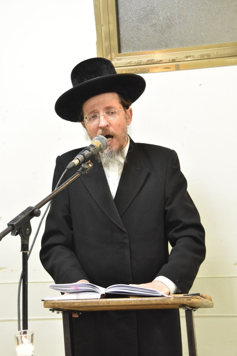 יהודה פרקוביץ