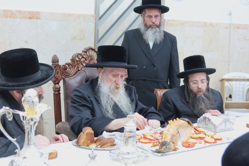 שימי פ.