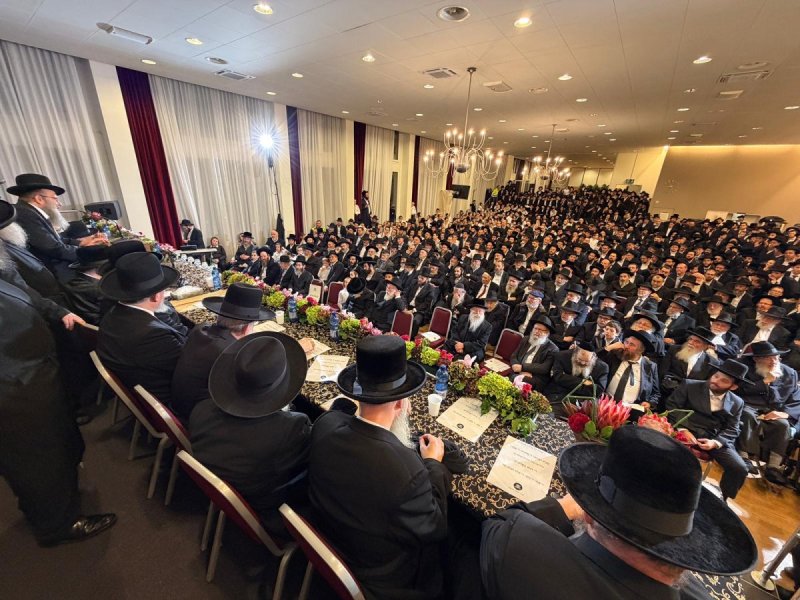 דניאל נפוסי ומאיר זלזניק