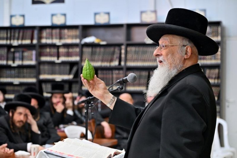יהושע פרוכטר