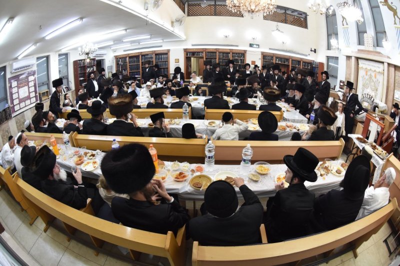 יהודה פרקוביץ