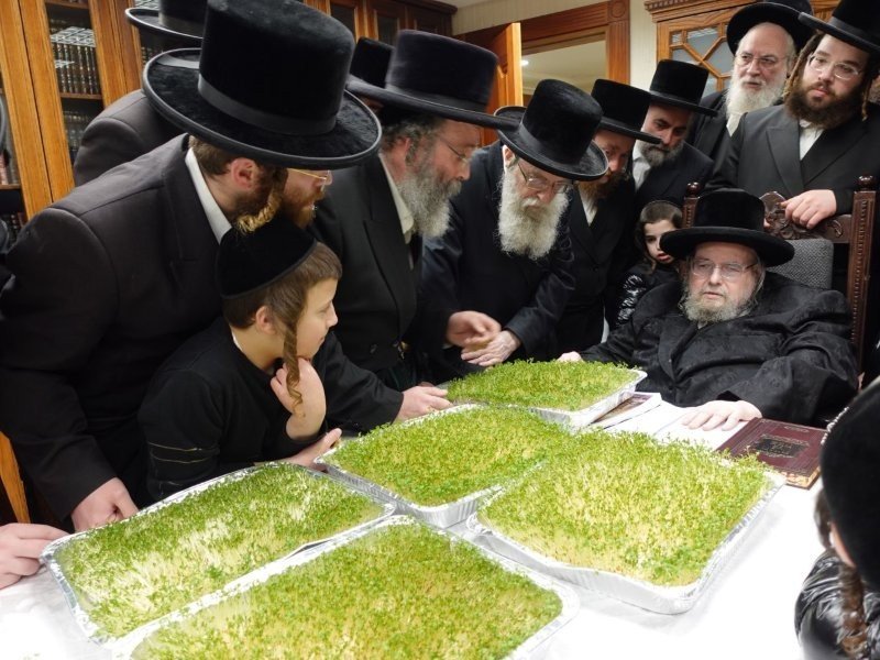 אנשיל בעק וא.מ.ש