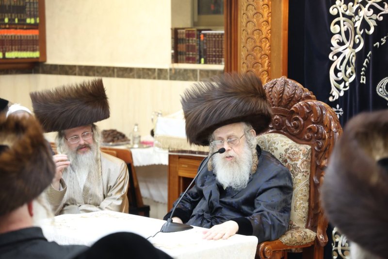 שלומי טריכטר