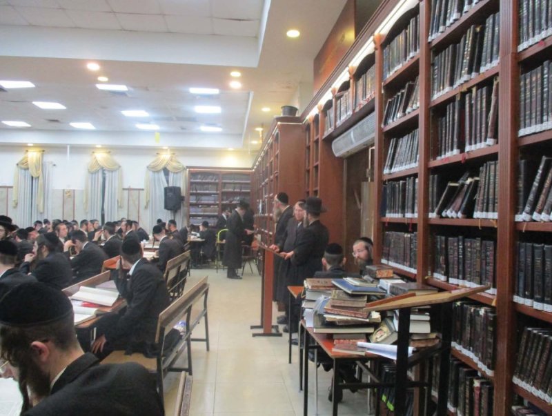 באדיבות המצלם