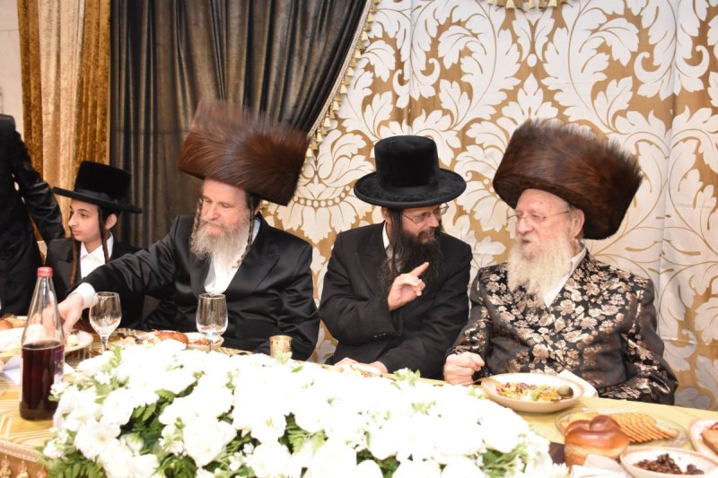 יהודה פרקוביץ