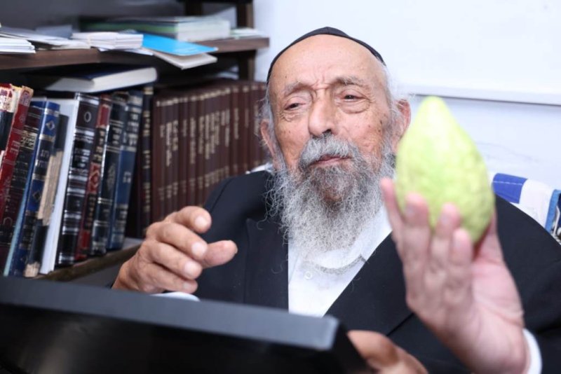 דוד ארזני