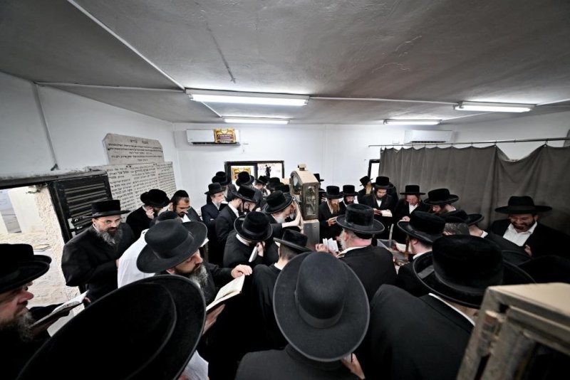 יהושע פרוכטר