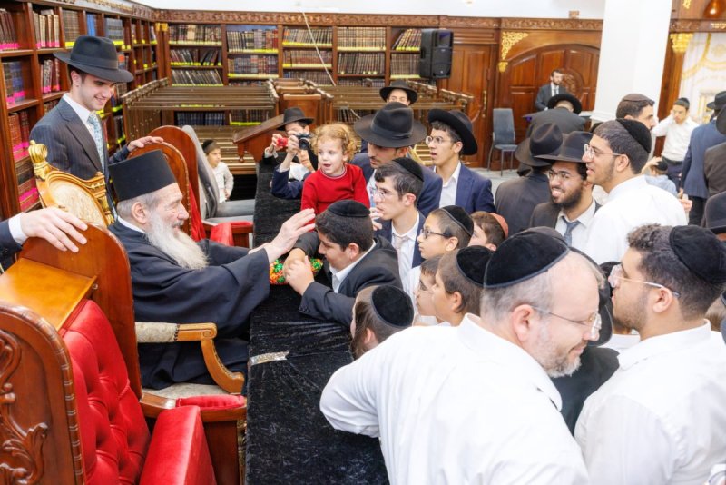 אלעזר פיינשטיין