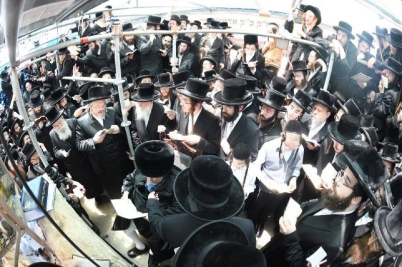 אנשיל בעק וא.מ.ש