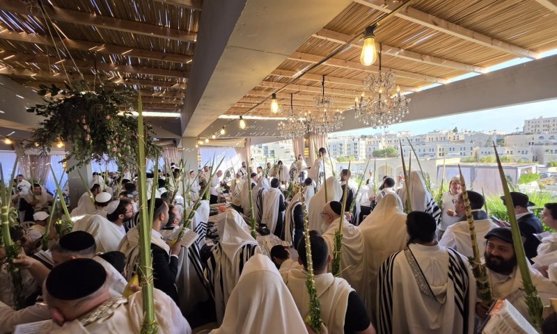 אחרי הסערה: העירייה הקצתה שטח חלופי לסוכת הינוקא