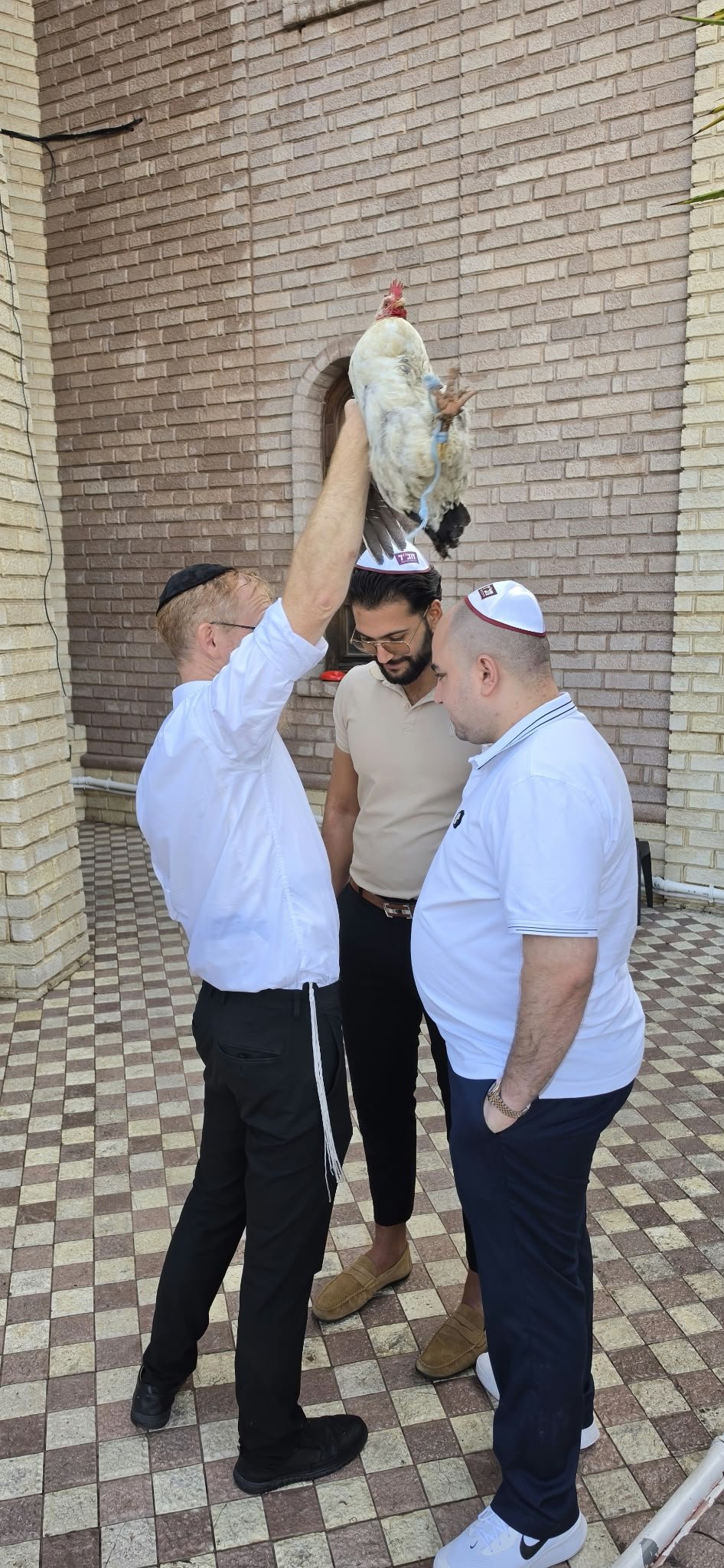 באדיבות המצלם