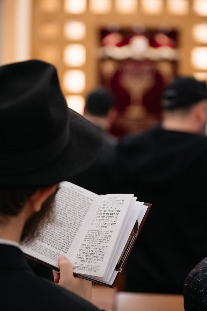 דוברות הקהילה
