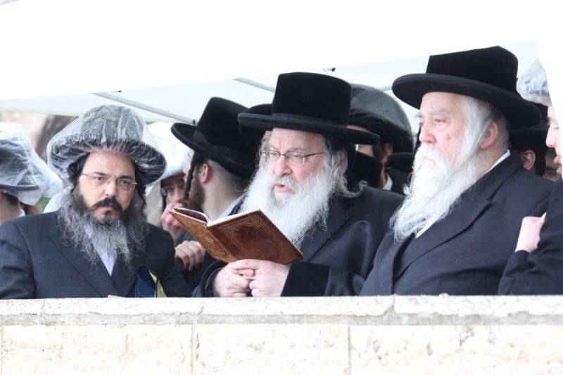 שלומי טריכטר