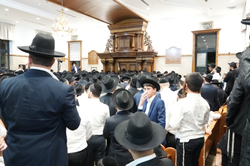 דוד חי - בצליל ובזמר