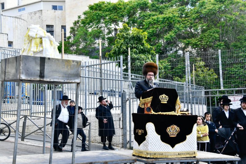 שוקי לרר