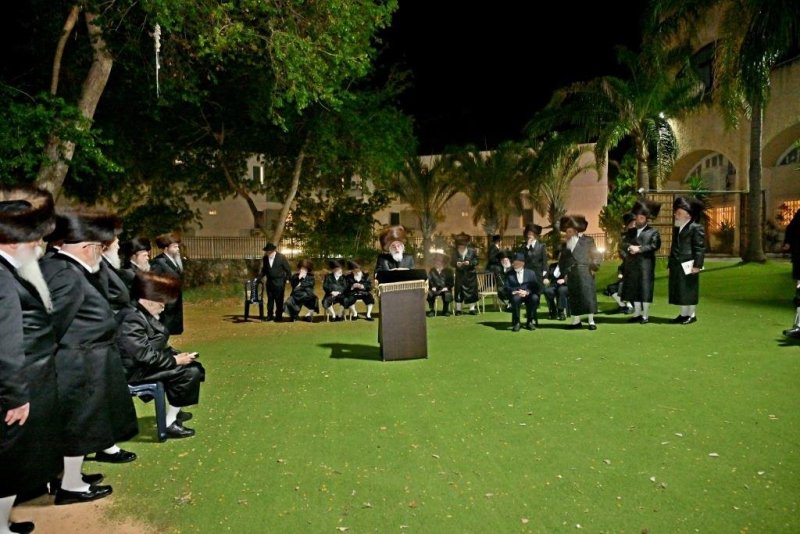 יהושע פרוכטר