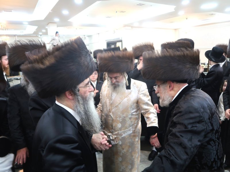 שימי פ.