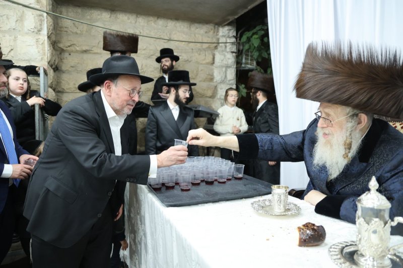 שלומי טריכטר